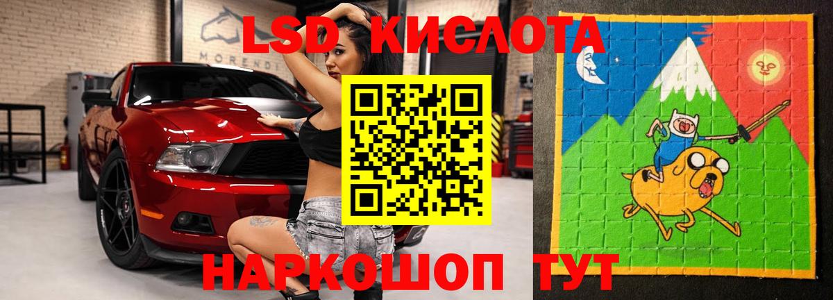Сегежа  ЛСД экстази  Вход с VPN  ЛСД экстази кислота  ЛСД экстази кислота 