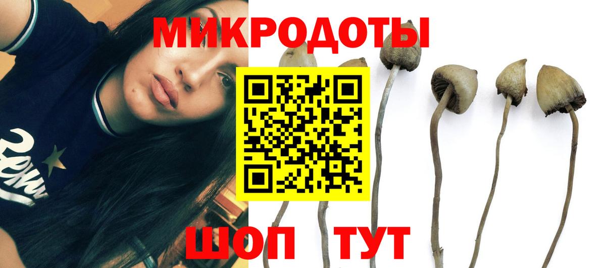 Псилоцибиновые грибы мухоморы Сегежа